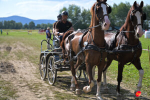 XV Galicyjskie Lato z koniem 2026