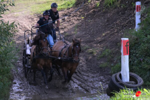 XV Galicyjskie Lato z koniem 2026