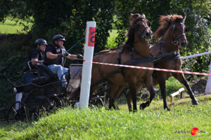 XV Galicyjskie Lato z koniem 2026