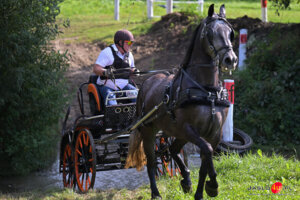 XV Galicyjskie Lato z koniem 2026