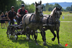 XV Galicyjskie Lato z koniem 2026