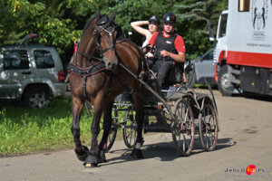 XV Galicyjskie Lato z koniem 2026