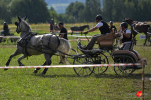 XV Galicyjskie Lato z koniem 2026