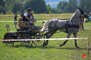 XV Galicyjskie Lato z koniem 2026