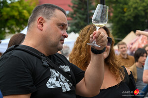 XX Międzynarodowe Dni Wina w Jaśle